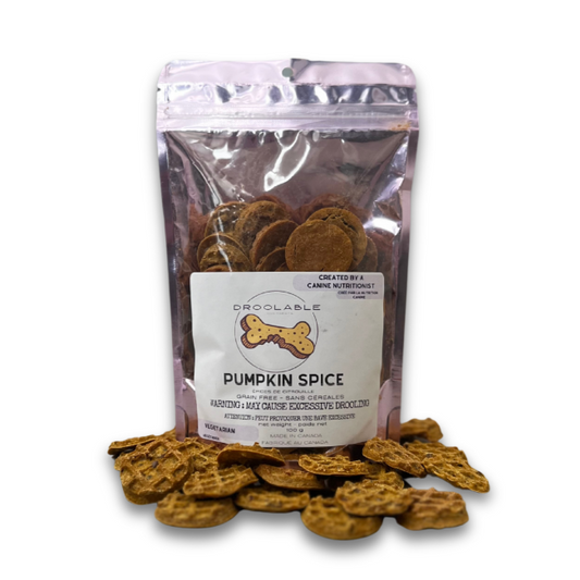 Pumpkin Spice Cookies | Grain Free | All Natural Dog Treats